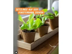 Anzuchttöpfe rund 6 cm Ø 24 Stück
