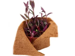 Aquagart 6m Kokosmatte Winterschutz Böschungsmatte Kokosfasermatte 800g/m² 0,75m Breit