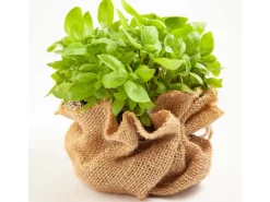 Aquagart 10m x 1m Jutegewebe 105g/m² Jutematte Gartenjute Jute Stoff Sackleinen Juteband