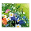Banjado Herdabdeckplatte Glas 2 Teilig Je 30x52CM Schneidebrett Herdabdeckung Mit Motiv Blumenstrauß