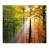 Banjado Herdabdeckplatte Glas 1 Teilig 60x52CM Schneidebrett Herdabdeckung Mit Motiv Herbstwald