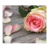 Banjado Herdabdeckplatte Glas 1 Teilig 60x52CM Schneidebrett Herdabdeckung Mit Motiv Rosa Rose