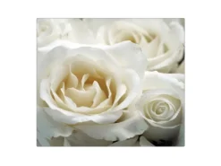 Banjado Herdabdeckplatte Glas 1 Teilig 60x52CM Schneidebrett Herdabdeckung Mit Motiv White Roses