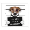 Banjado Herdabdeckplatte Glas 1 Teilig 60x52CM Schneidebrett Herdabdeckung Mit Motiv Bad Dog Jack Russel