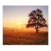 Banjado Herdabdeckplatte Glas 1 Teilig 60x52CM Schneidebrett Herdabdeckung Mit Motiv Sonnenaufgang