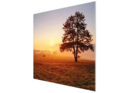 Banjado Herdabdeckplatte Glas 1 Teilig 60x52CM Schneidebrett Herdabdeckung Mit Motiv Sonnenaufgang