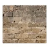 Banjado Herdabdeckplatte Glas 1 Teilig 60x52CM Schneidebrett Herdabdeckung Mit Motiv Steinwand Antik