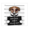 Banjado Herdabdeckplatte Glas 2 Teilig Je 30x52CM Schneidebrett Herdabdeckung Mit Motiv Bad Dog Jack Russel
