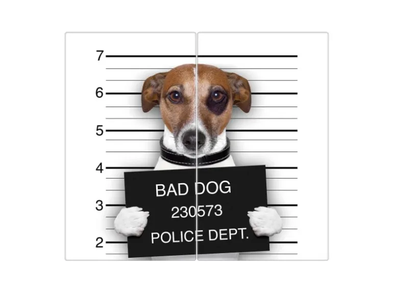 Banjado Herdabdeckplatte Glas 2 Teilig Je 30x52CM Schneidebrett Herdabdeckung Mit Motiv Bad Dog Jack Russel