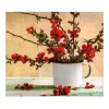 Banjado Herdabdeckplatte Glas 1 Teilig 60x52CM Schneidebrett Herdabdeckung Mit Motiv Berberitzen