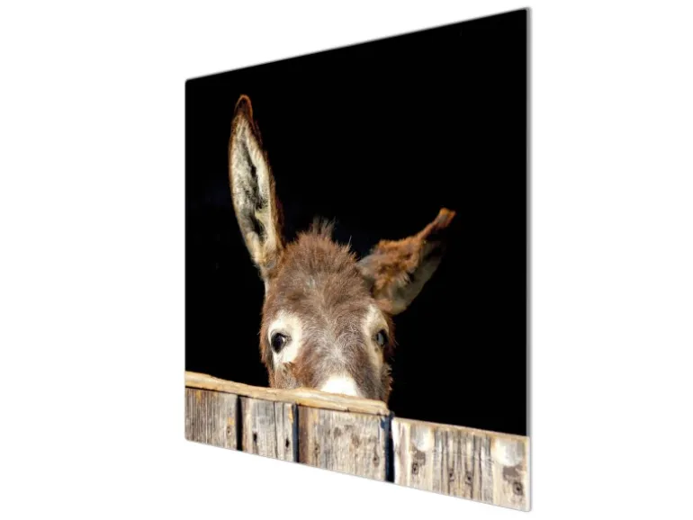 Banjado Herdabdeckplatte Glas 1 Teilig 60x52CM Schneidebrett Herdabdeckung Mit Motiv Esel