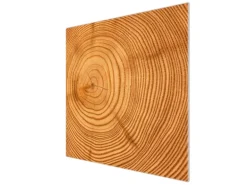 Banjado Herdabdeckplatte Glas 1 Teilig 60x52CM Schneidebrett Herdabdeckung Mit Motiv Baumstamm