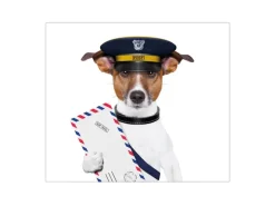 Banjado Herdabdeckplatte Glas 1 Teilig 60x52CM Schneidebrett Herdabdeckung Mit Motiv Postbote Jack Russel