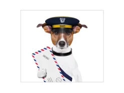 Banjado Herdabdeckplatte Glas 1 Teilig 60x52CM Schneidebrett Herdabdeckung Mit Motiv Postbote Jack Russel