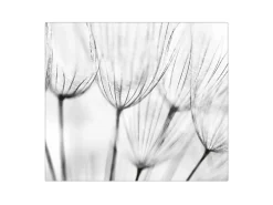 Banjado Herdabdeckplatte Glas 1 Teilig 60x52CM Schneidebrett Herdabdeckung Mit Motiv Pusteblumen Sw