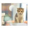 Banjado Herdabdeckplatte Glas 2 Teilig Je 30x52CM Schneidebrett Herdabdeckung Mit Motiv Kleine Katze