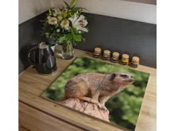 Banjado Herdabdeckplatte Glas 2 Teilig Je 30x52CM Schneidebrett Herdabdeckung Mit Motiv Sitzendes Erdmännchen