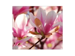 Banjado Herdabdeckplatte Glas 1 Teilig 60x52CM Schneidebrett Herdabdeckung Mit Motiv Magnolia