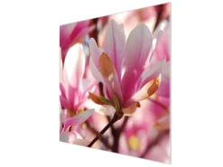 Banjado Herdabdeckplatte Glas 1 Teilig 60x52CM Schneidebrett Herdabdeckung Mit Motiv Magnolia