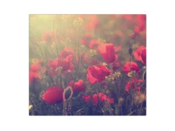 Banjado Herdabdeckplatte Glas 1 Teilig 60x52CM Schneidebrett Herdabdeckung Mit Motiv Mohn