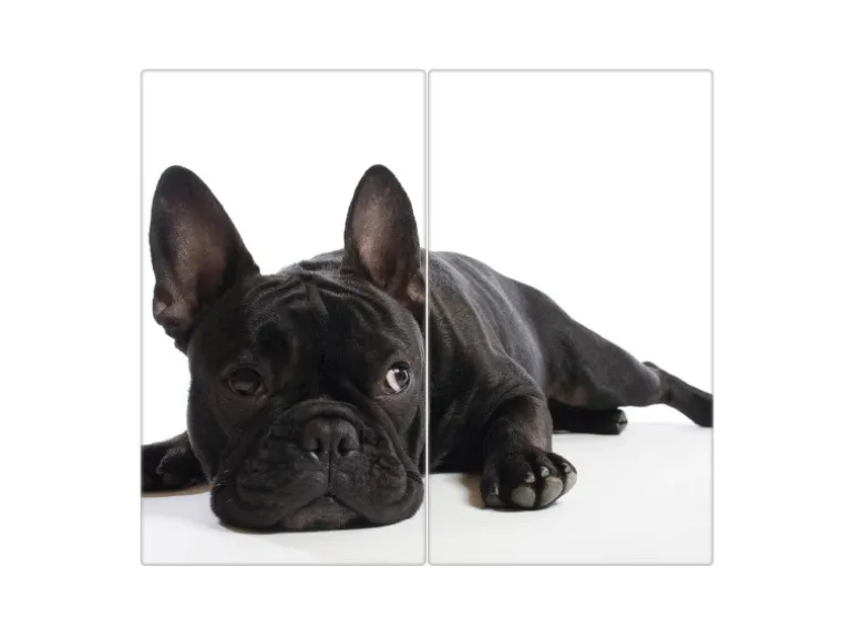 Banjado Herdabdeckplatte Glas 2 Teilig Je 30x52CM Schneidebrett Herdabdeckung Mit Motiv Bulldogge