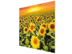 Banjado Herdabdeckplatte Glas 1 Teilig 60x52CM Schneidebrett Herdabdeckung Mit Motiv Sonnenblumenmeer