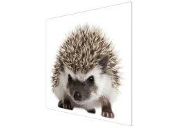 Banjado Herdabdeckplatte Glas 1 Teilig 60x52CM Schneidebrett Herdabdeckung Mit Motiv Igel