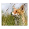 Banjado Herdabdeckplatte Glas 1 Teilig 60x52CM Schneidebrett Herdabdeckung Mit Motiv Fuchs