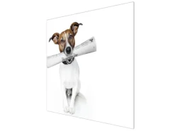 Banjado Herdabdeckplatte Glas 1 Teilig 60x52CM Schneidebrett Herdabdeckung Mit Motiv Business Day