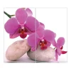 Banjado Herdabdeckplatte Glas 2 Teilig Je 30x52CM Schneidebrett Herdabdeckung Mit Motiv Orchidee
