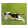 Banjado Herdabdeckplatte Glas 1 Teilig 60x52CM Schneidebrett Herdabdeckung Mit Motiv Jagende Katze