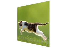 Banjado Herdabdeckplatte Glas 1 Teilig 60x52CM Schneidebrett Herdabdeckung Mit Motiv Jagende Katze