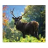 Banjado Herdabdeckplatte Glas 1 Teilig 60x52CM Schneidebrett Herdabdeckung Mit Motiv Hirsch