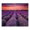 Banjado Herdabdeckplatte Glas 2 Teilig Je 30x52CM Schneidebrett Herdabdeckung Mit Motiv Lavendelfeld