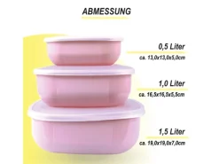 Bestgoodies Vorratsdosen 6er Set Eckig Rosa 2 x 3er