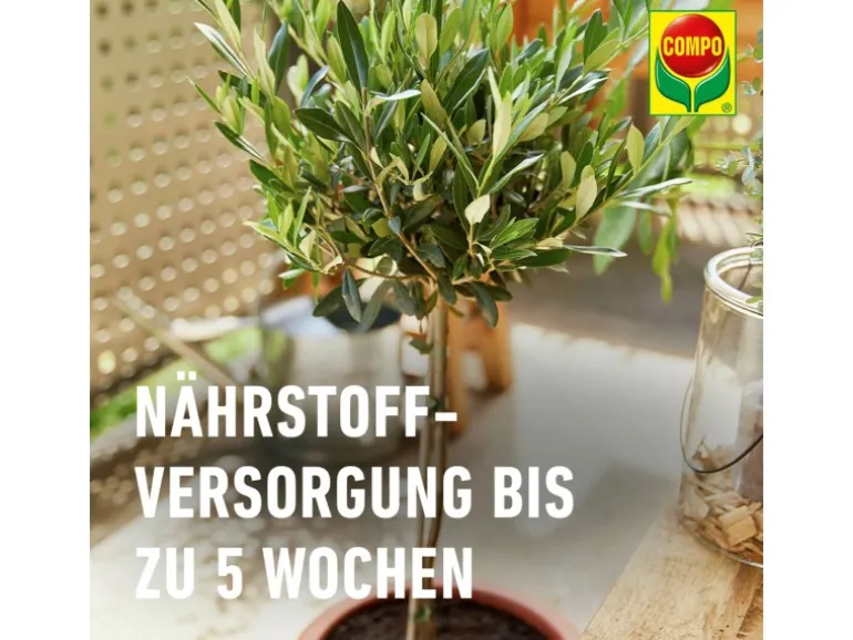 Compo Bio Mediterrane Pflanzenerde Torffrei 40 l