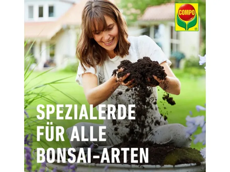 Compo Sana Bonsaierde 5 l