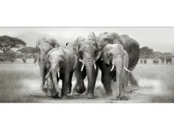 Deco Panel Anonymus Elephant Herd 117 cm x 49 cm