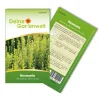 Deine Gartenwelt Rosmarin Samen
