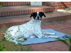Dobar Große Kühlmatte für Hunde mit Pfoten Muster 99,5 x 70 cm Grau
