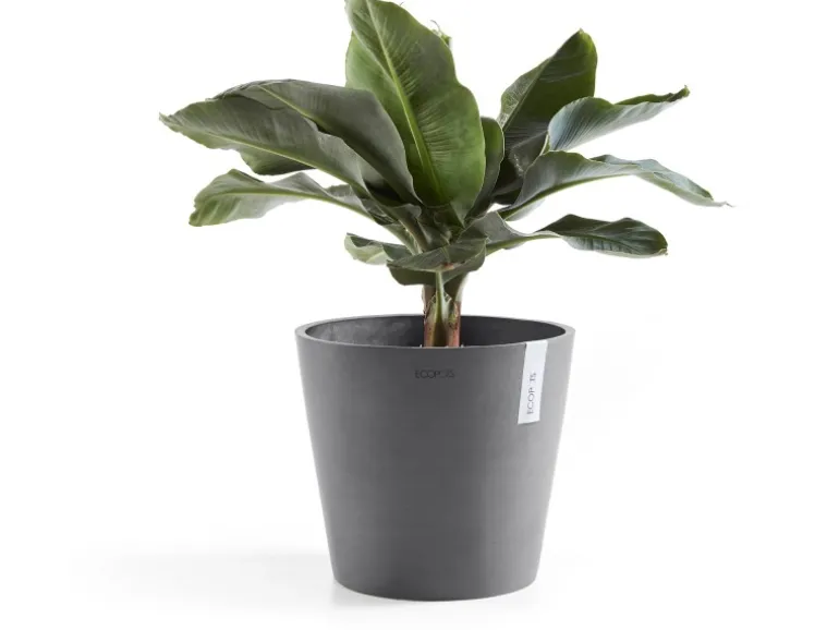 Ecopots Pflanztopf Amsterdam Ø 30 cm x 26 cm Grau