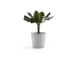 Ecopots Pflanztopf Amsterdam Weißgrau 50 cm x 43,8 cm