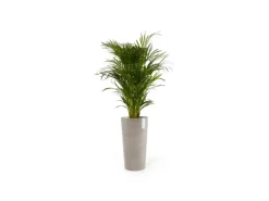 Ecopots Pflanztopf Amsterdam Halbhoch Taupe 34 cm x 66 cm