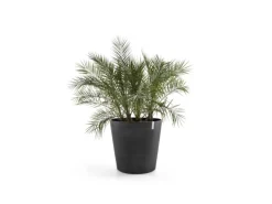 Ecopots Pflanztopf Amsterdam Rollen Dunkelgrau Ø 100 cm / Höhe 87,5 cm