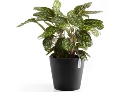 Ecopots Pflanztopf Amsterdam Dunkelgrau Ø 30 cm / Höhe 26,3 cm