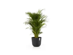 Ecopots Pflanztopf Oslo Dunkelgrau 35 cm x 30,5 cm