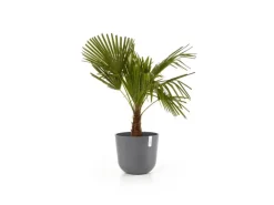 Ecopots Pflanztopf Oslo Grau 35 cm x 30,5 cm