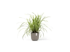 Ecopots Pflanztopf Oslo Mini Braungrau 19 cm x 16,5 cm