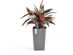 Ecopots Pflanztopf Rotterdam 30 cm x 30 cm x 50 cm Grau
