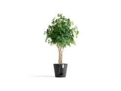 Ecopots Pflanztopf Venice 2 Dunkelgrau 40 cm x 35 cm